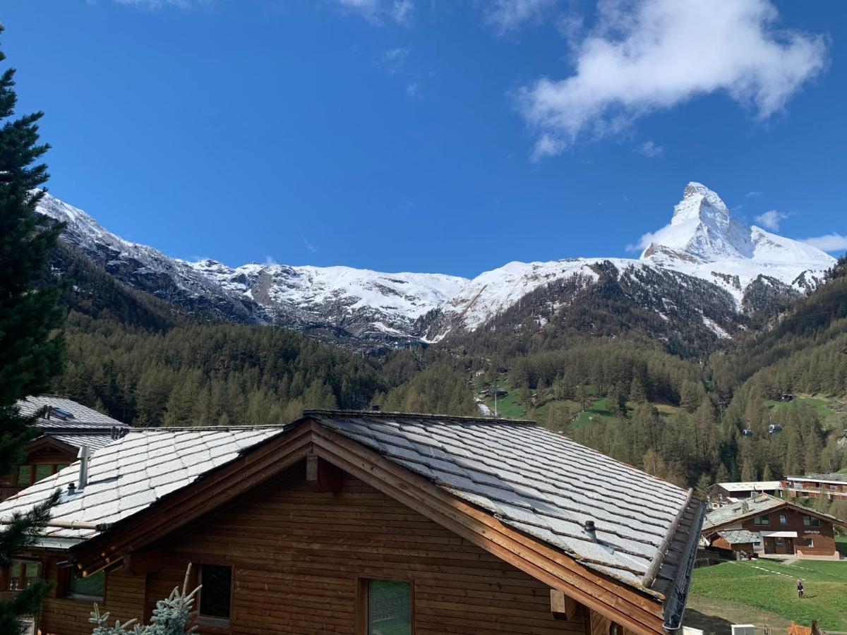 Matterhorn Panorama Apartment Церматт Экстерьер фото